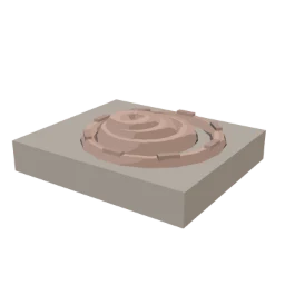 Ammonite fossil
