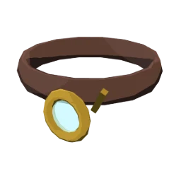 Curator's lens