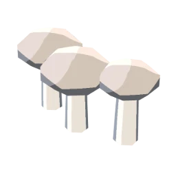 Field mushrooms
