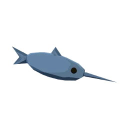Raw swordfish