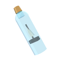 Ship in a bottle
