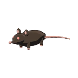 Gnawer
